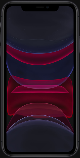 Smartfon Apple iPhone 11 64GB Black (MHDA3) - obraz 4