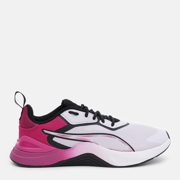 Puma lucide 2025