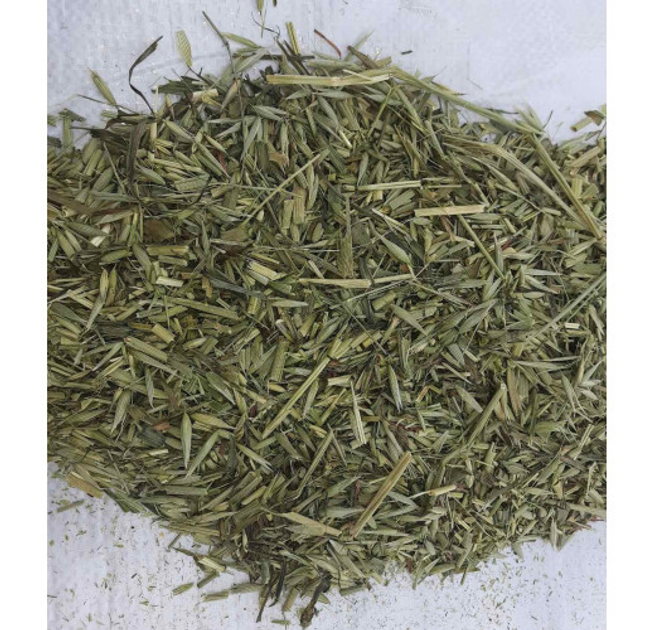 Овес трава сушена (упаковка 5 кг) - зображення 1