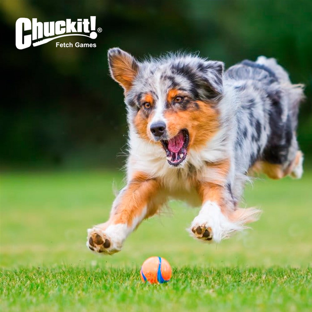 Zestaw zabawek Chuckit! Ultra Ball Piłka tenisowa M 2 szt (0660048170013) - obraz 3