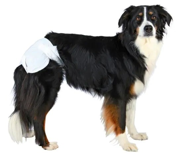 Pieluchy dla psów (suczek) TRIXIE 23633 32-48 cm 12szt (4011905236339) - obraz 3