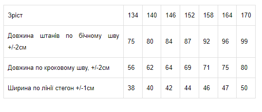 Детские теплые спортивные штаны-джоггеры для девочки Носи своє 6231-025 122 см Серые (p-5352-134918) - изображение 2