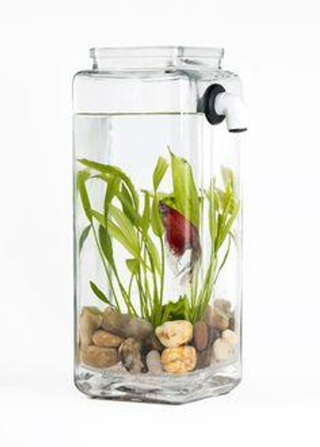 Аквариум самоочищающийся My Fun Fish (FON0012) от продавца: FonTop – в ...