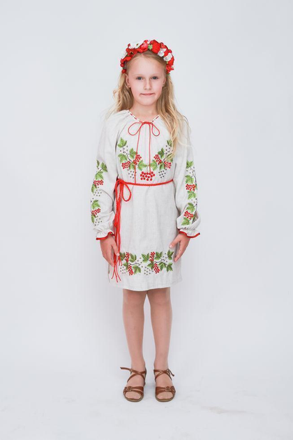 Детский костюм Калина Рябина, , размеры лет, лет, лет | Сравнить цены на kormstroytorg.ru
