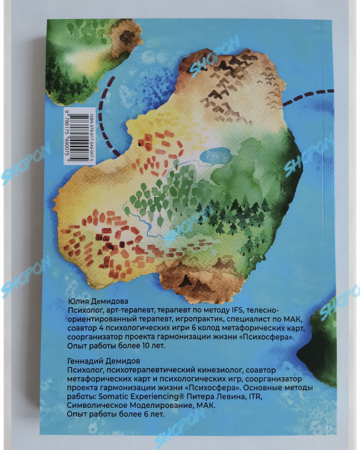 Книга Книга «Путеводитель в мире МАК: системный подход», книга по ...