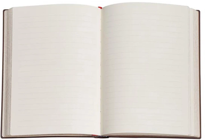Notatnik Paperblanks Biblioteka Szekspira 18x23 cm 176 stron w linie (9781439793961) - obraz 5