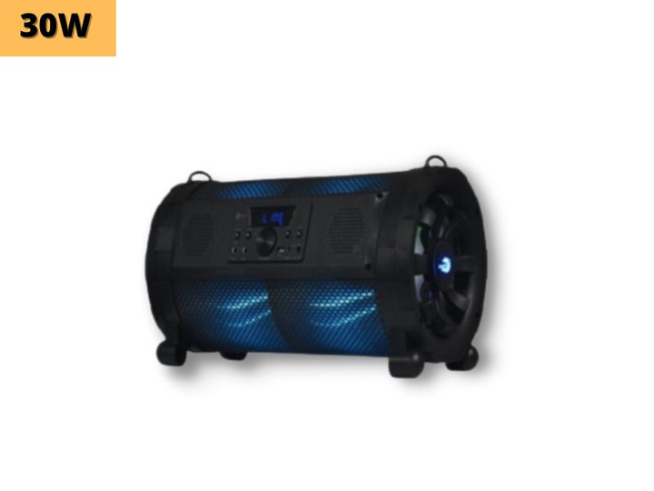 Портативная колонка XPRO E-625 чемодан 30Вт, USB, SD, FM радио ...