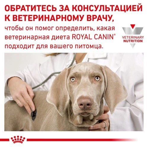 Влажный корм Royal Canin Recovery - консервы для собак и кошек в период восстановления после болезни (40550021) - изображение 4