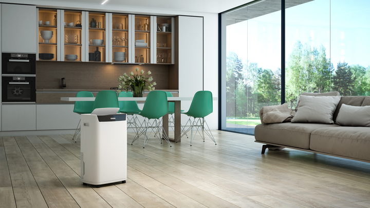 Осушувач повітря Olimpia Splendid AQUARIA S1 24 P (OS-2065) - зображення 6