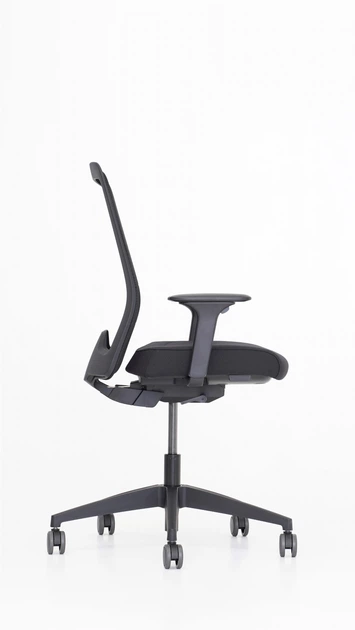 Кресло Interstuhl EVERYis1 EV256 (ER01 / black mesh) - Фото 3 Кресло Interstuhl EVERYis1 EV256 (ER01 / black mesh) - изображение 3