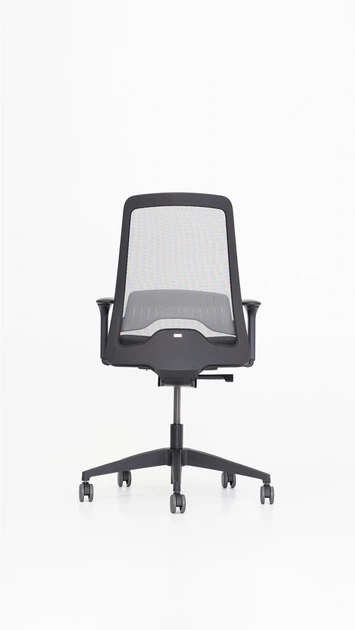 Кресло Interstuhl EVERYis1 EV256 (ER01 / black mesh) - Фото 5 Кресло Interstuhl EVERYis1 EV256 (ER01 / black mesh) - изображение 5