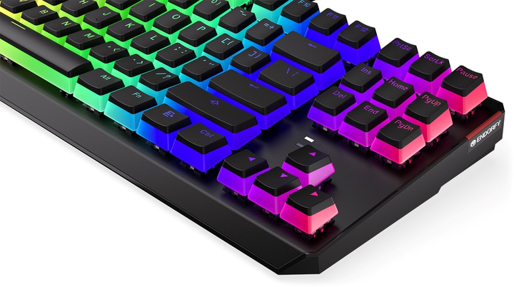 Клавіатура дротова Endorfy Thock TKL Pud Kailh Brown USB Black (EY5A005) - зображення 9