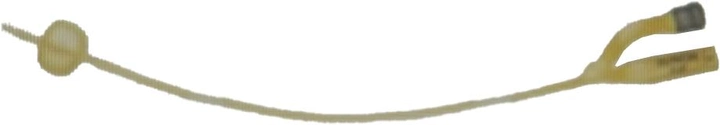 Баллонный катетер Teleflex Фолея 2-ходовой RÜSCH Gold Ch 18 №10 (180630-000180) - изображение 1