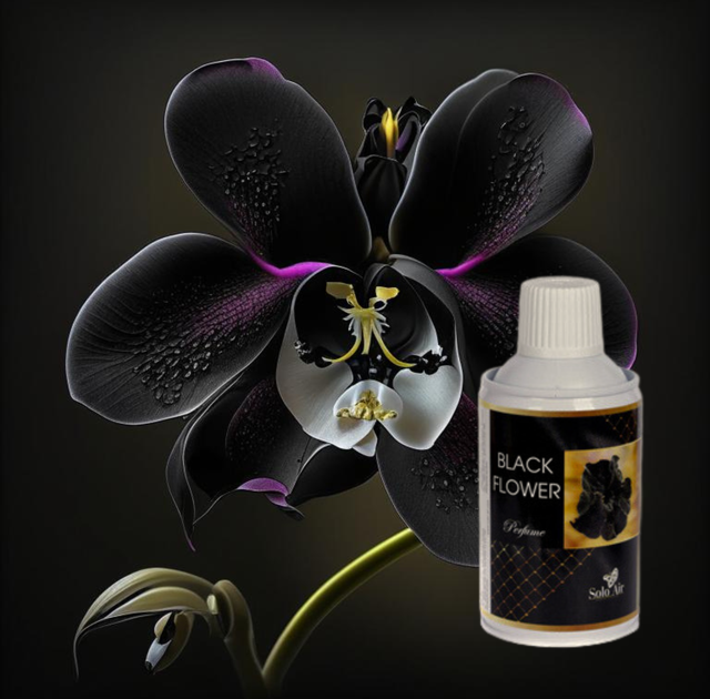 Освіжувач повітря аерозоль-духи Solo-Air Black flower 250 мл - Фото 2 Освіжувач повітря аерозоль-духи Solo-Air Black flower 250 мл - зображення 2