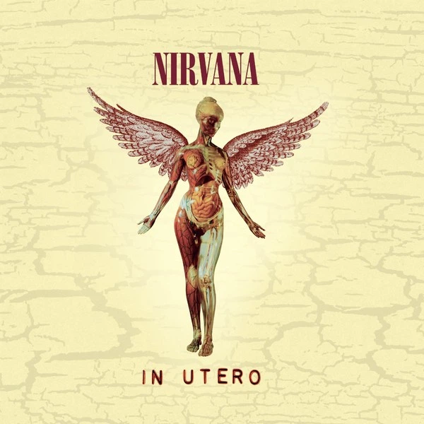 Музичний CD диск Nirvana - In Utero фірмовий – фото, відгуки