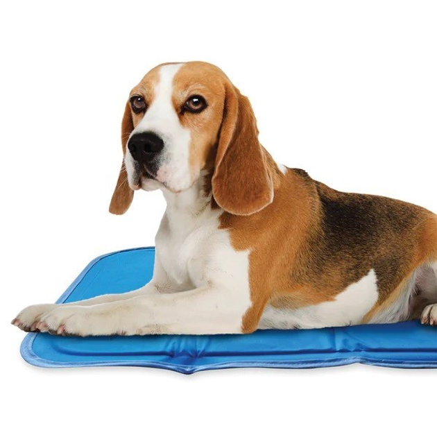 Нетоксичный охлаждающий коврик The Green Pet Shop Cool Pet Pad 40 см х ...