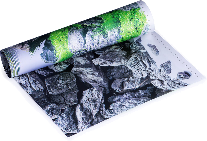 Tło Juwel Fototapeta / Plakat 4 S (4022573862546) - obraz 5