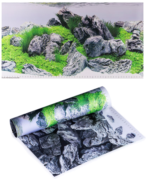 Tło Juwel Fototapeta / Plakat 4 S (4022573862546) - obraz 6