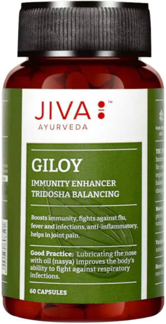 Харчова добавка Jiva Ayurveda Giloy 60 капсул Дихальна система (8904050608501) - зображення 1