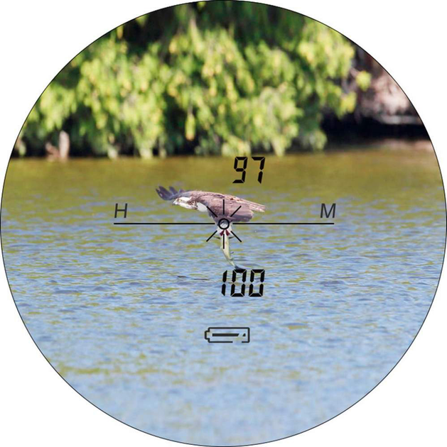 Дальномер лазерный тактический Discovery Optics Rangerfinder D800 Белый (Z14.2.13.005) - изображение 10