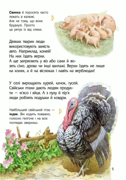 Енциклопедія дошкільника (нова) : Тварини - Фото 6 Енциклопедія дошкільника (нова) : Тварини - изображение 6