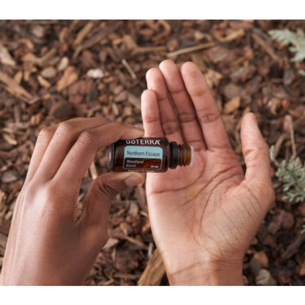 Смесь эфирных масел doTERRA Northern Escape / «Северное Cияние» 15ml - изображение 2