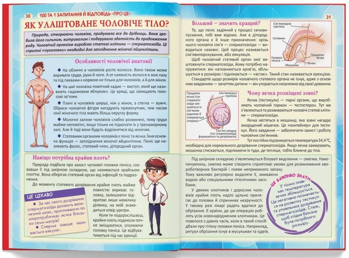 Мужская репродуктивная система — ЗдоровьеИнфо