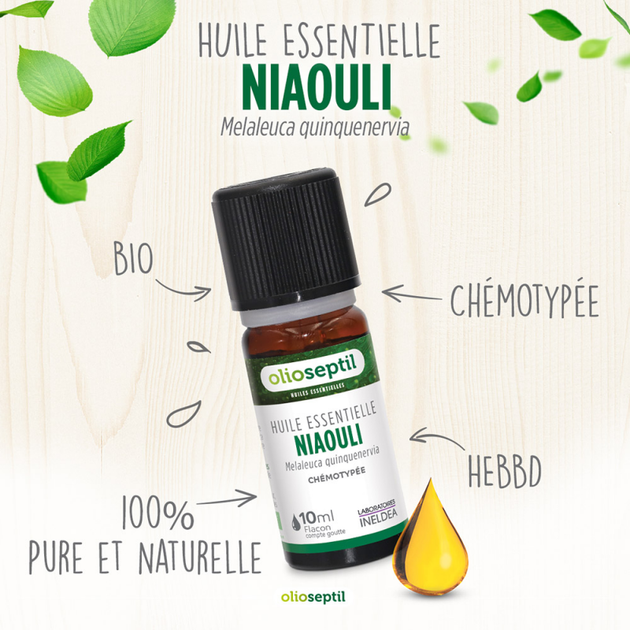 Ефірна олія Найолі Olioseptil / HUILE ESSENTIELLE NIAOULI - Хемотипована органічна HEBBD, 10 мл (OL22) - изображение 3
