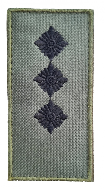 Пагон Шеврони з вишивкой "Старший лейтенант ЗСУ" Хакі роз. 10*5 см - зображення 1