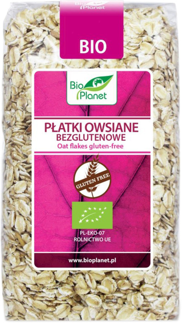 Вівсяні пластівці без глютену Bio Planet BIO 300 г (5902488066101) - зображення 1