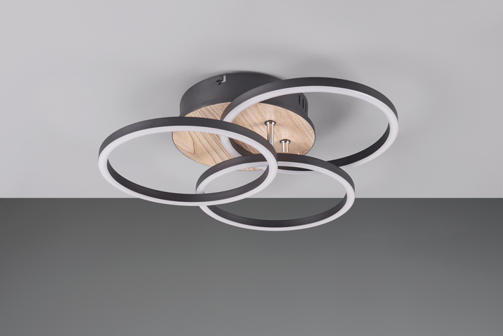 Люстра LED светодиодная потолочная Reality с пультом управления CIRCLE 27W 3200lm 2700 - 6000K (R62823135) на кухню, для спальни, для гостиной - изображение 5