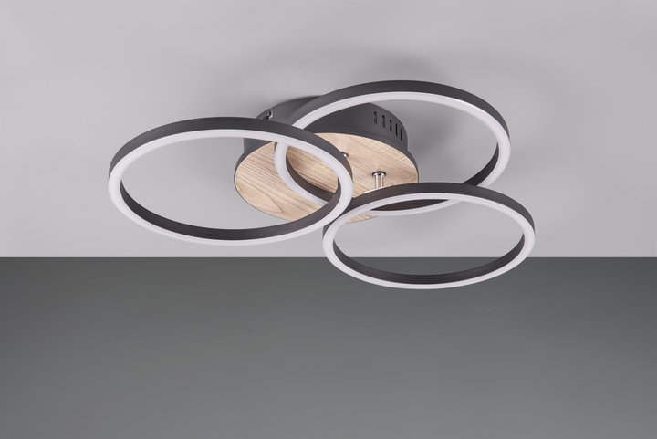 Люстра LED светодиодная потолочная Reality с пультом управления CIRCLE 27W 3200lm 2700 - 6000K (R62823135) на кухню, для спальни, для гостиной - изображение 6