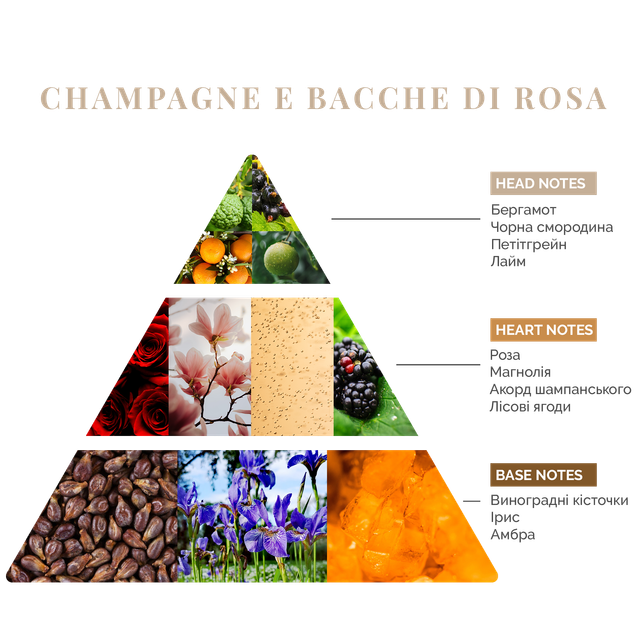 Аромадифузор Logevy Firenze MAGNUM 3000 ML Champagne e bacche di rosa (Шампанське & Рожеві ягоди) (LOG0137) - Фото 2 Аромадифузор Logevy Firenze MAGNUM 3000 ML Champagne e bacche di rosa (Шампанське & Рожеві ягоди) (LOG0137) - изображение 2