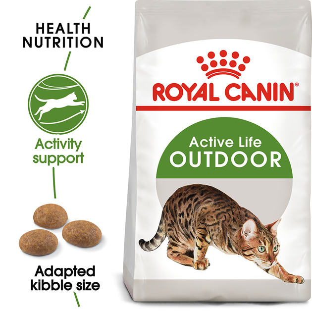 Sucha karma dla dorosłych kotów Royal Canin fhn outdoor z smakiem ptaka 4 kg (3182550707381) - obraz 1