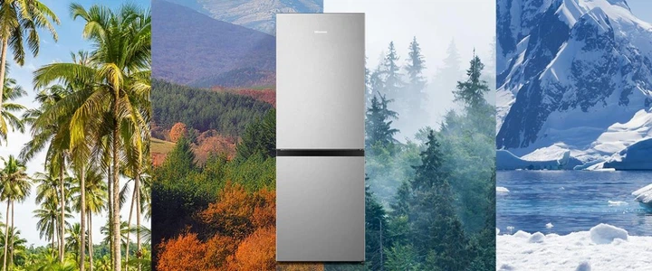 Холодильник Hisense RB291D4CDF - изображение 8
