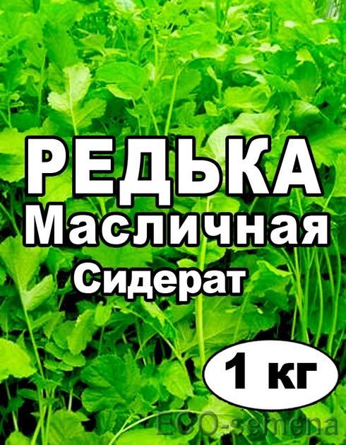 Семена редьки масличной - ROZETKA | Купить масличная редька семена в ...