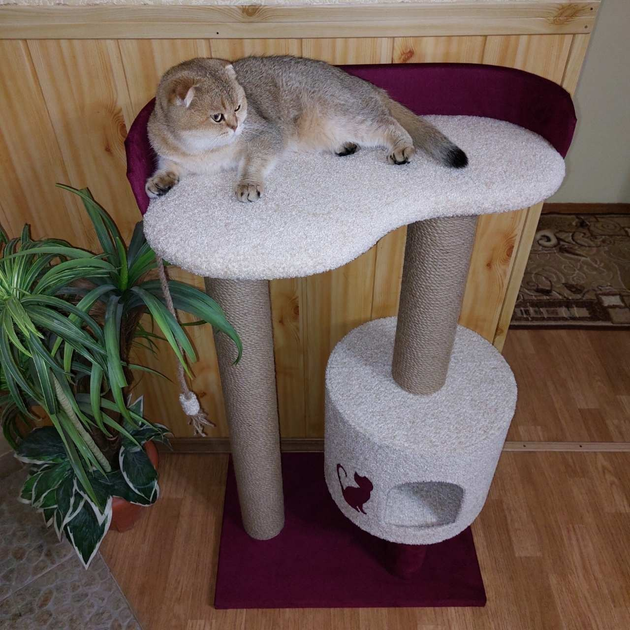 Кошачья когтеточка лазалка в домик с лежанкой для кошек кото 90х60х40см ...