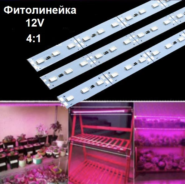 Світлодіодна фітолінійка smd 5730 72led / m 12V IP20 10вт (4червоних + 1синій) PREMIUM - Фото 1 Світлодіодна фітолінійка smd 5730 72led / m 12V IP20 10вт (4червоних + 1синій) PREMIUM - зображення 1