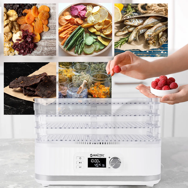 Сушилка для овощей, фруктов, грибов Maltec DryExpert450W Белая - изображение 8