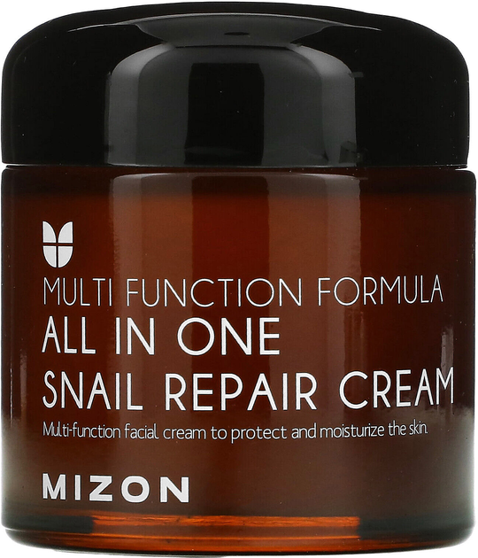 Krem do twarzy Mizon All in One Snail Repair Wielofunkcyjny naprawczy z mucyną ślimaka 75 ml (8809663751654) - obraz 1