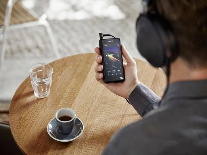 Плеер Hi-Fi Sony NW-WM1A – фото, отзывы, характеристики в интернет