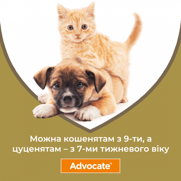 Капли для кошек Advocate (Адвокат) весом до 4 кг до 4 кг (1 упаковка) - изображение 4