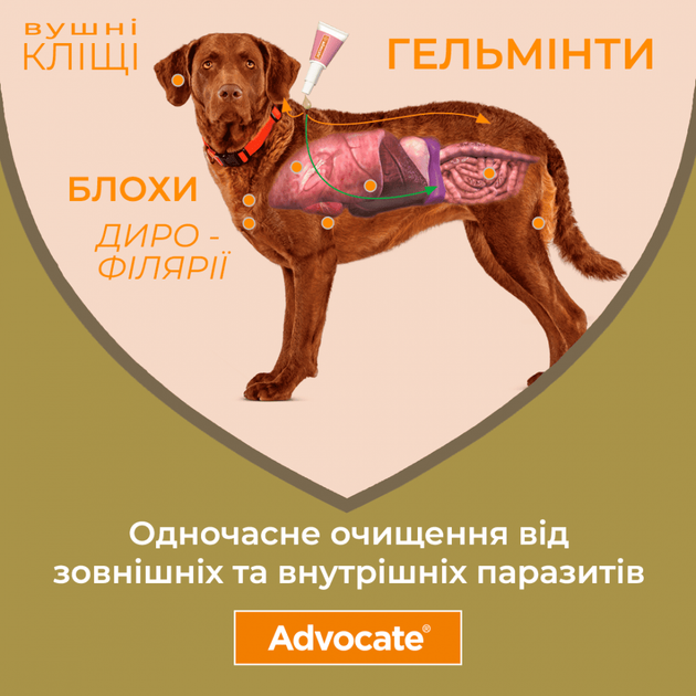 Капли для кошек Advocate (Адвокат) весом до 4 кг до 4 кг (1 упаковка) - изображение 5