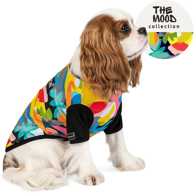 Футболки для собак с принтом на заказ в Москве: печать логотипов на одежде для собак