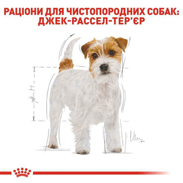 Сухой корм Royal Canin (Роял Канин) Jack Russell Terrier для Джек ...