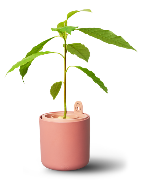 Вазон ELHO Аvocado pot круглий кораловий пластиковий 12 см (519490) - изображение 6