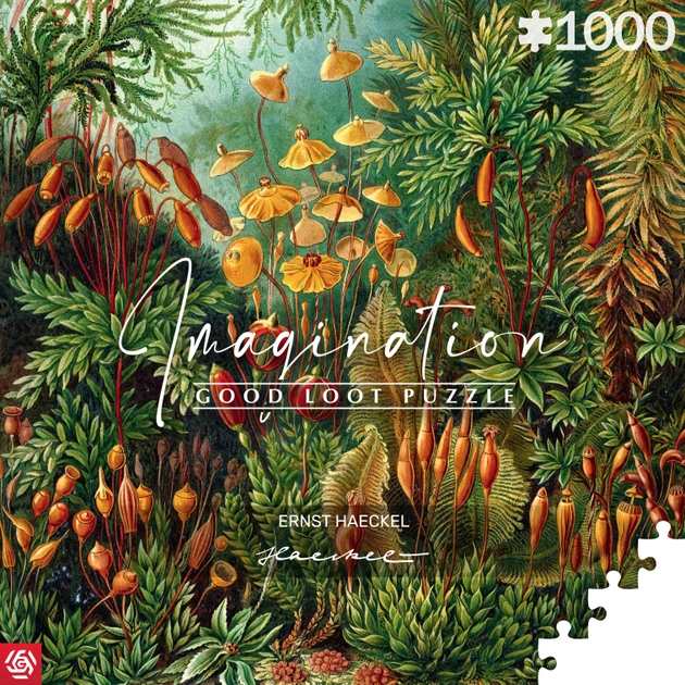 Пазли Good Loot Imagination Ernst Haeckel Muscinae 1000 елементів (5908305239642) - зображення 1