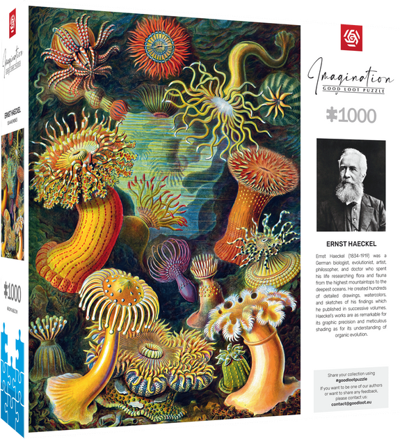 Пазли Good Loot Imagination Ernst Haeckel Морські істоти 1000 елементів (5908305244943) - зображення 2