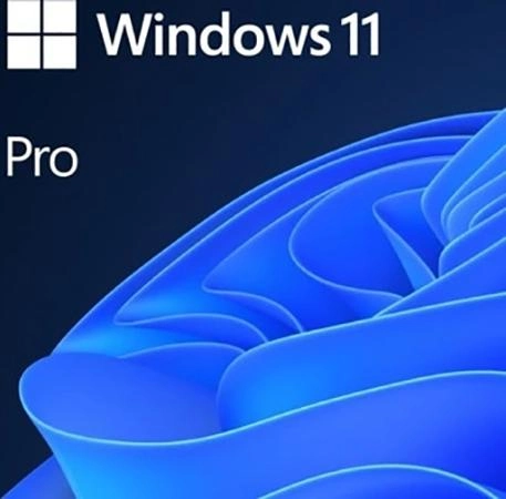 System operacyjny Microsoft OEM Windows 11 Pro PL x64 DVD (FQC-10544) - obraz 1