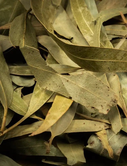 Листья эвкалипта сушеные россыпные 25г - изображение 1